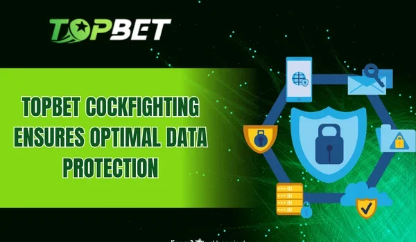 TOPBET Cockfighting ensures optimal data protection