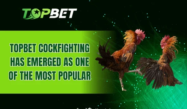 TOPBET Cockfighting has emerged as one of the most popular