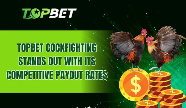TOPBET Cockfighting stands out with its competitive payout rates